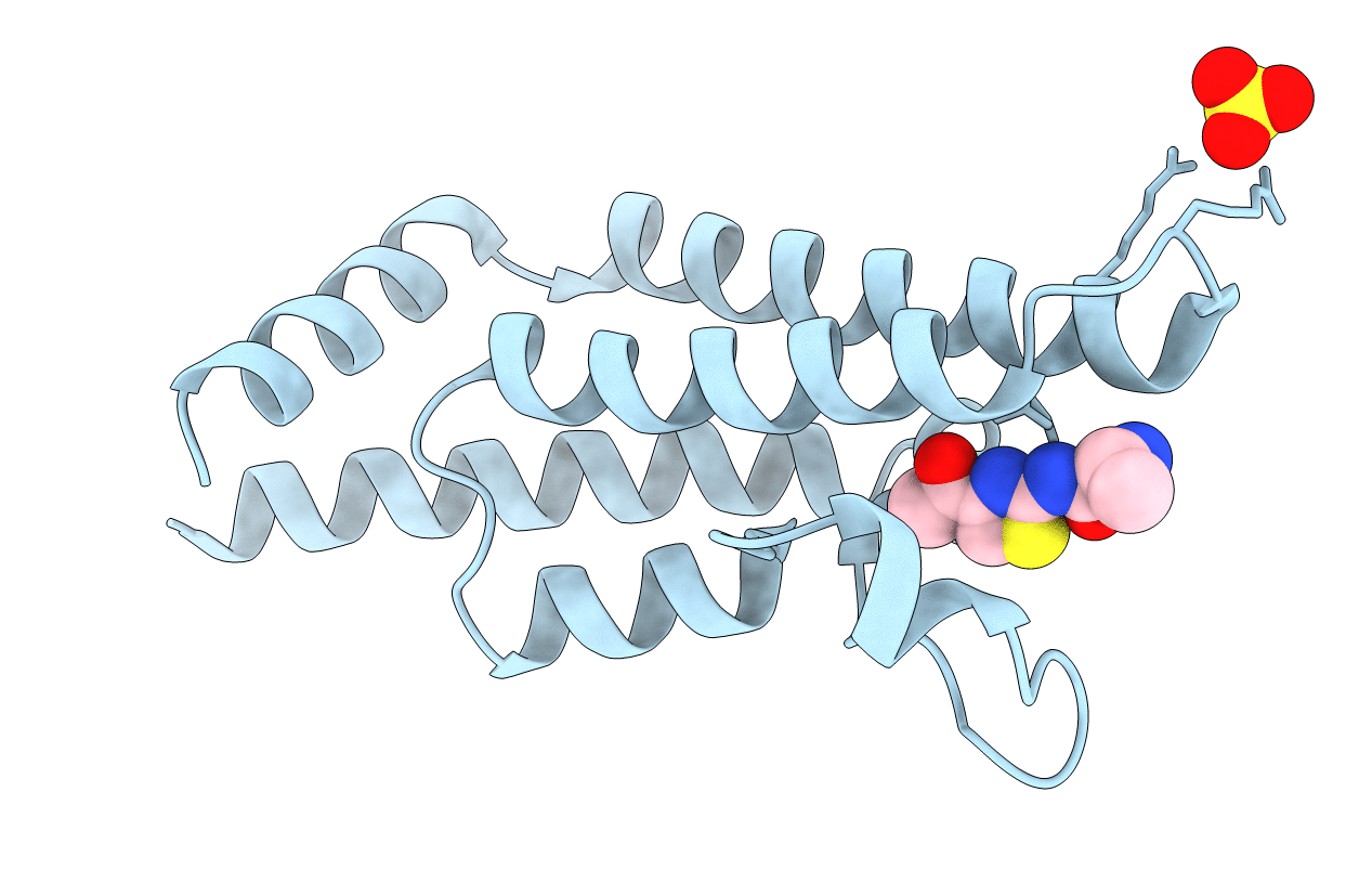 5F36 image