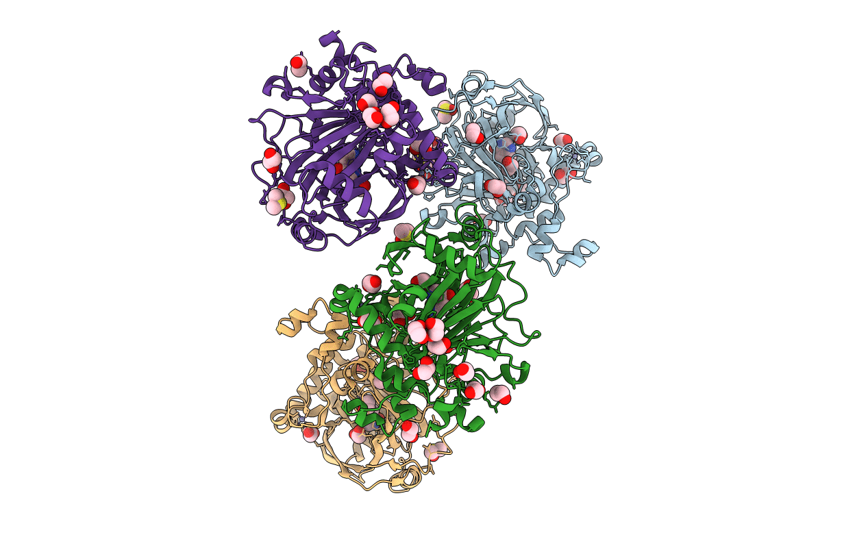 5F37 image
