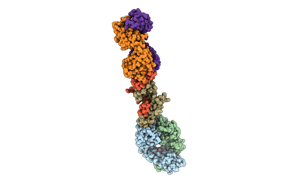 5F3B image