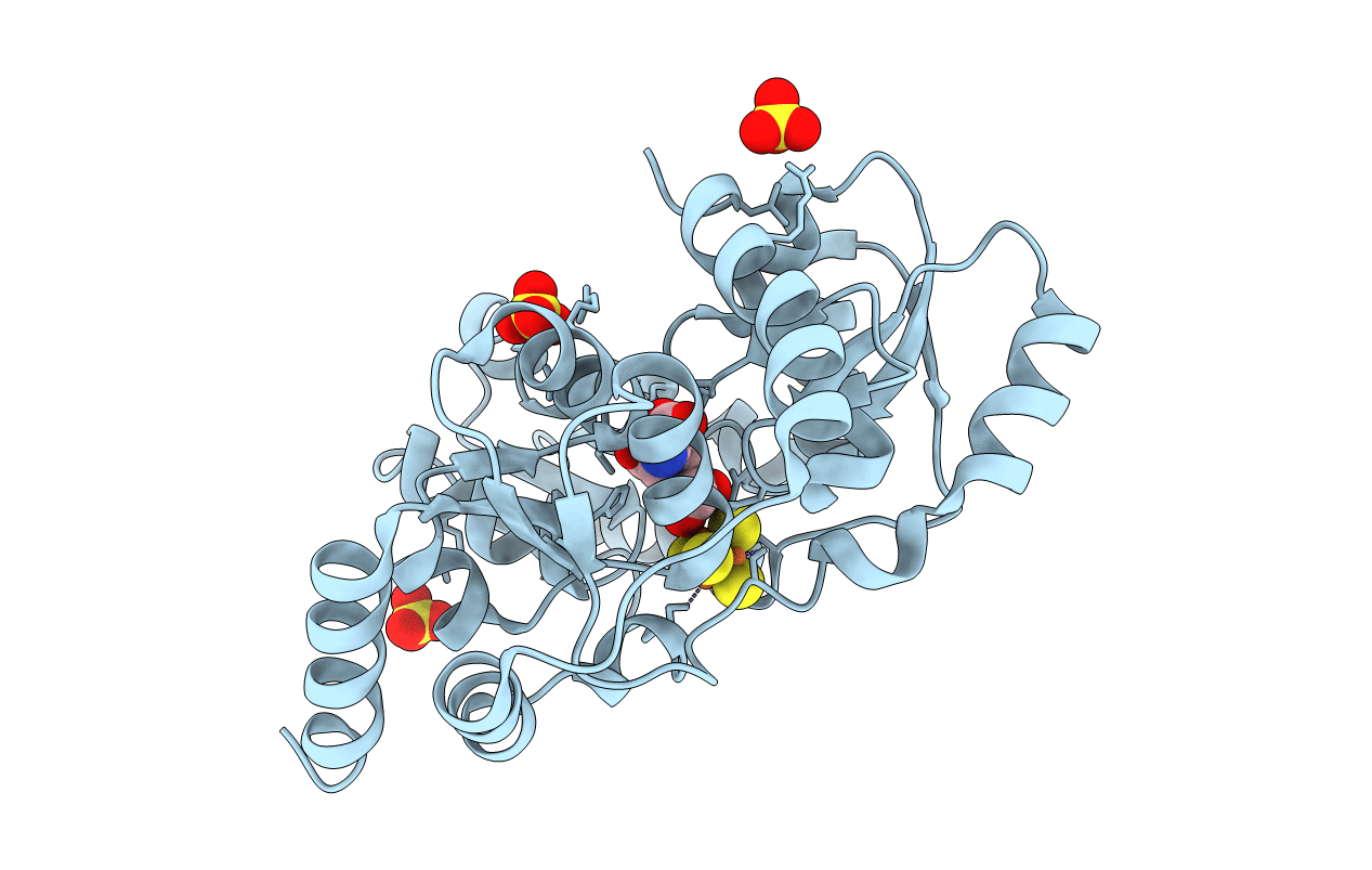 5F3D image