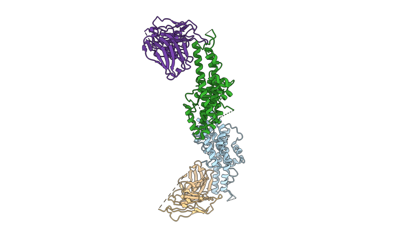 5F3J image