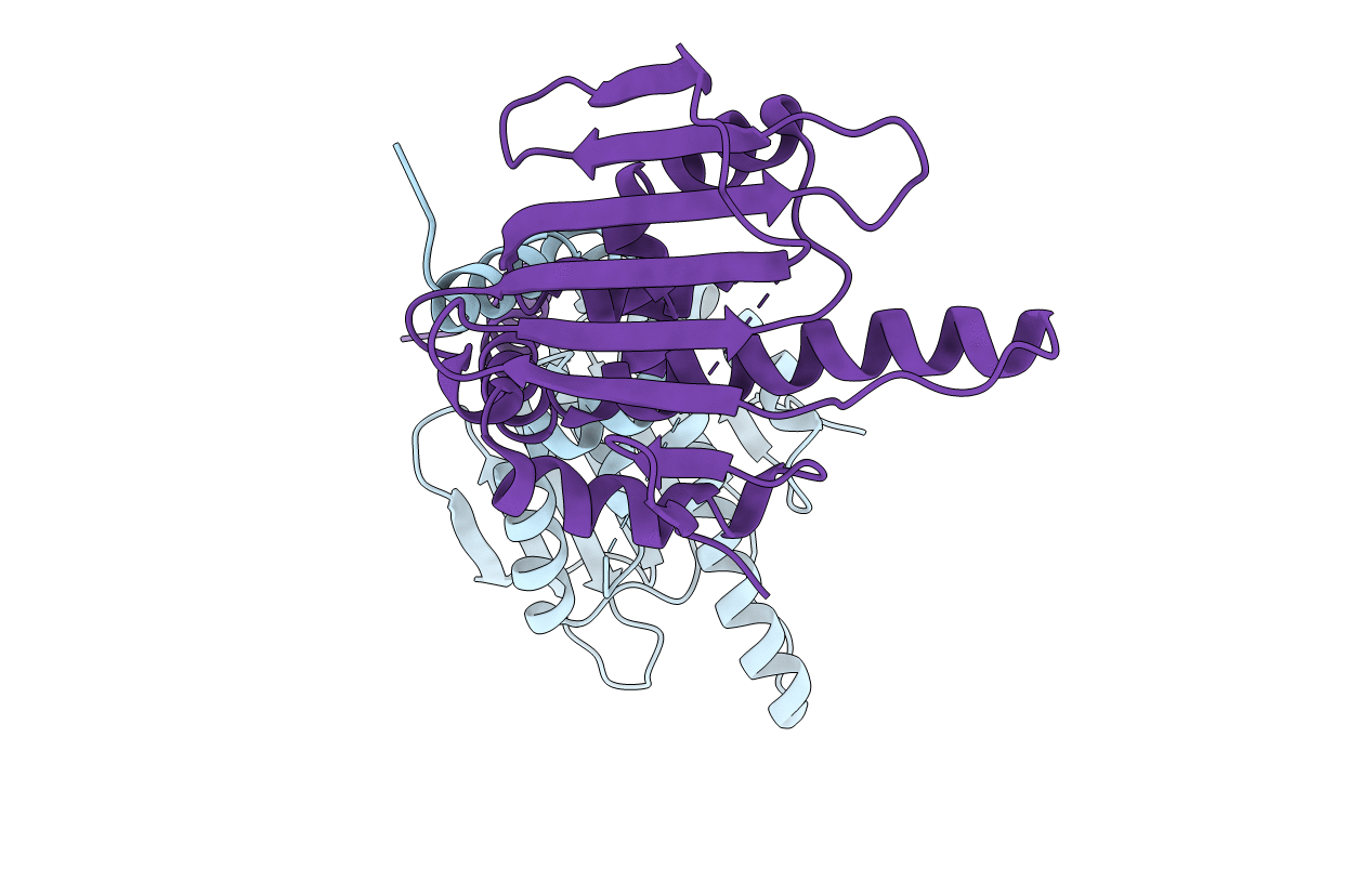 5F3K image