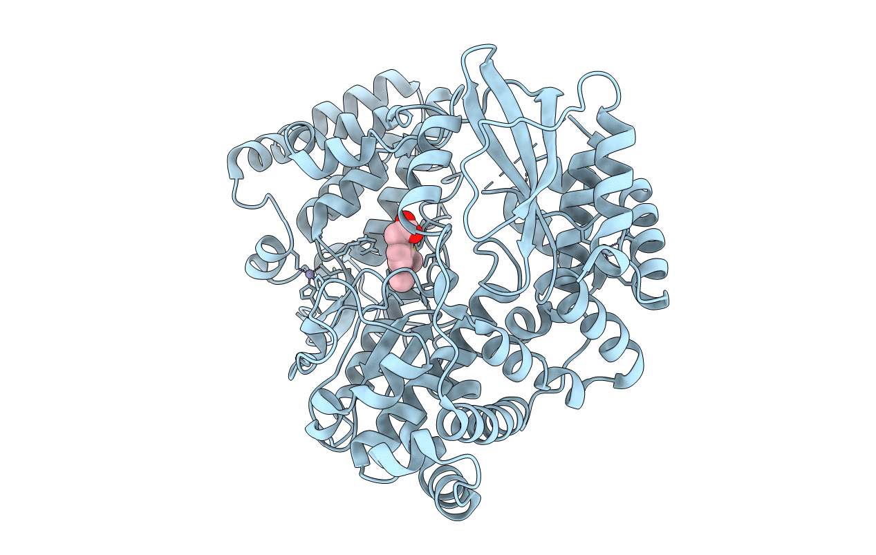 5F41 image