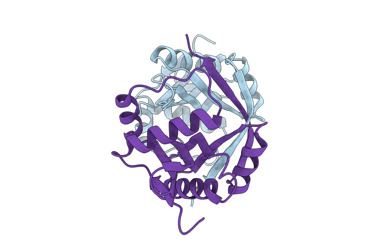 5F46 image