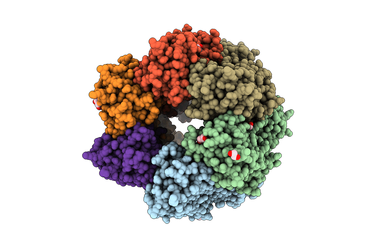 5F4H image