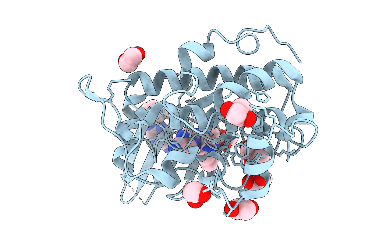 5F4N image