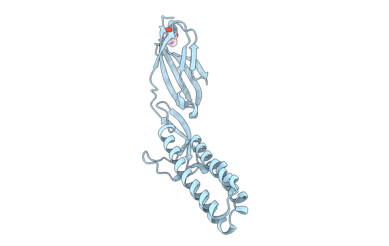 5F4V image