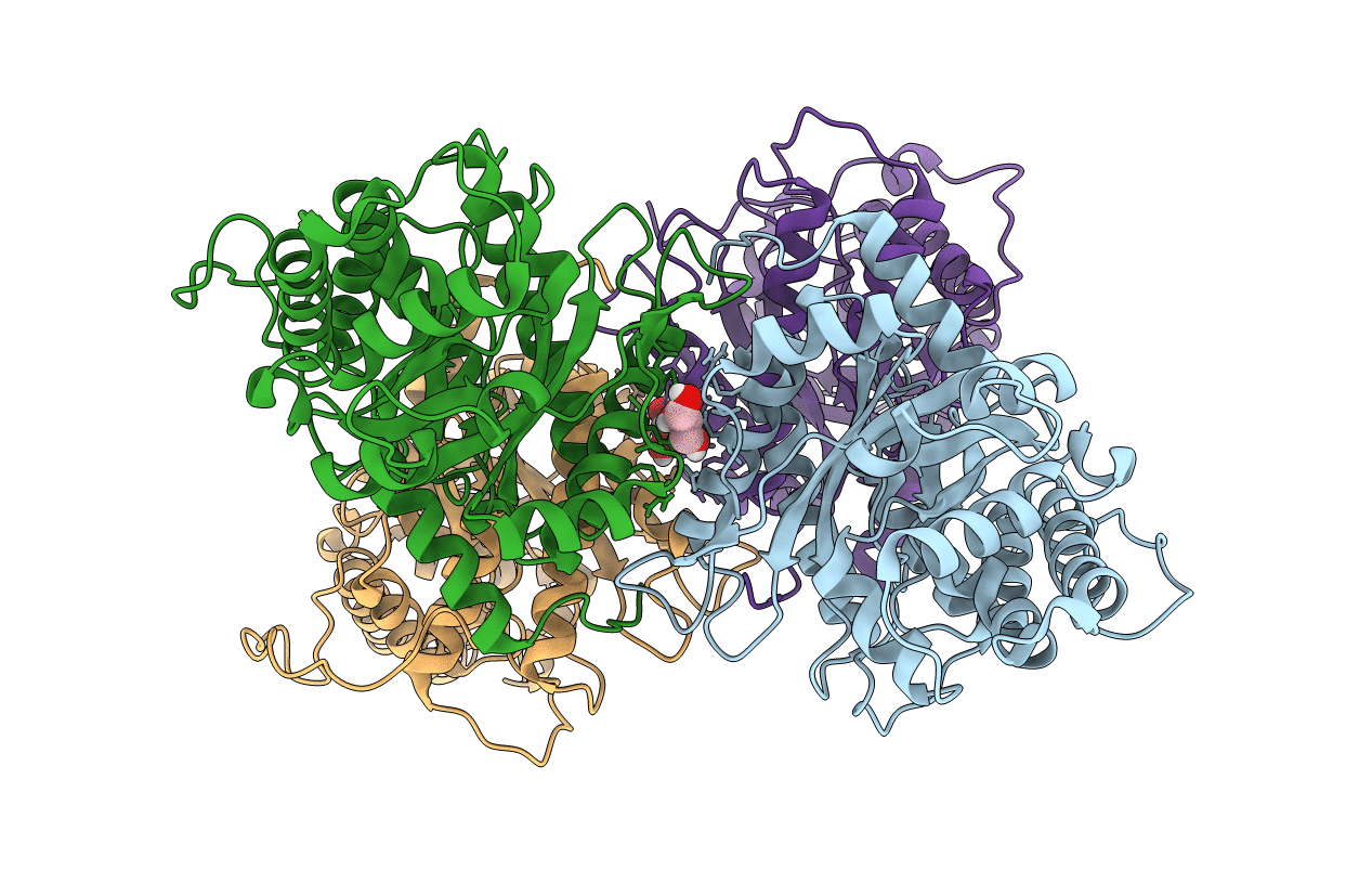 5F4X image