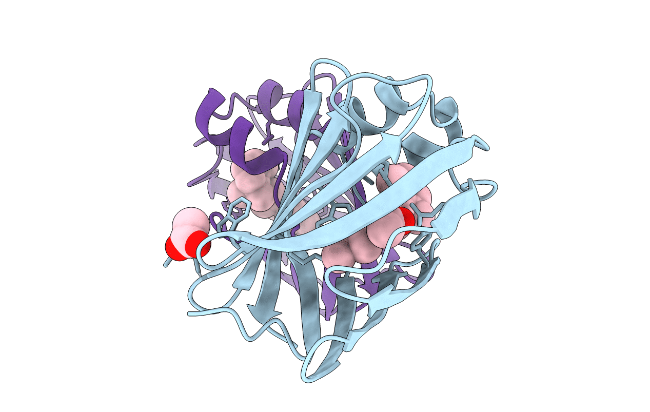 5F58 image