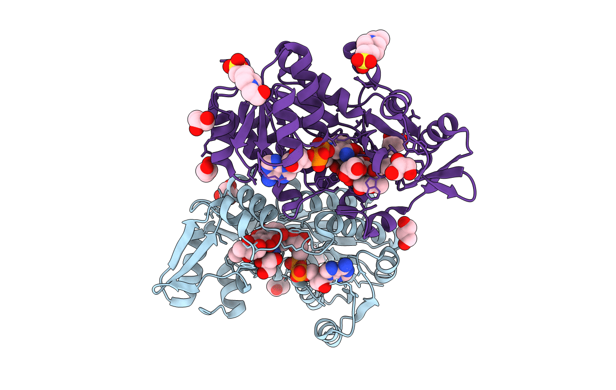 5F5N image