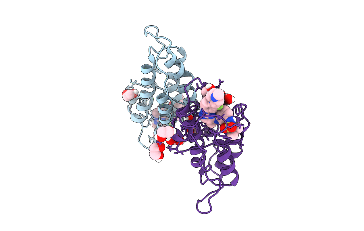 5F61 image