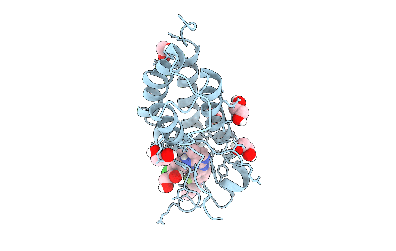 5F62 image