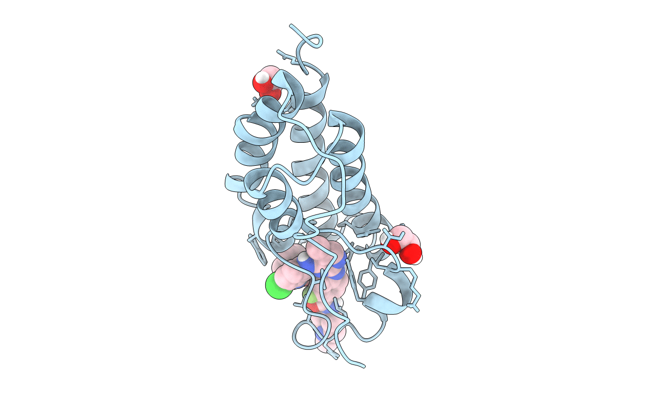 5F63 image
