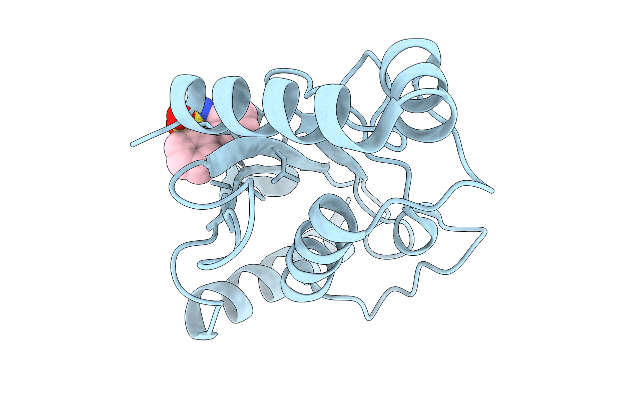 5F6D image