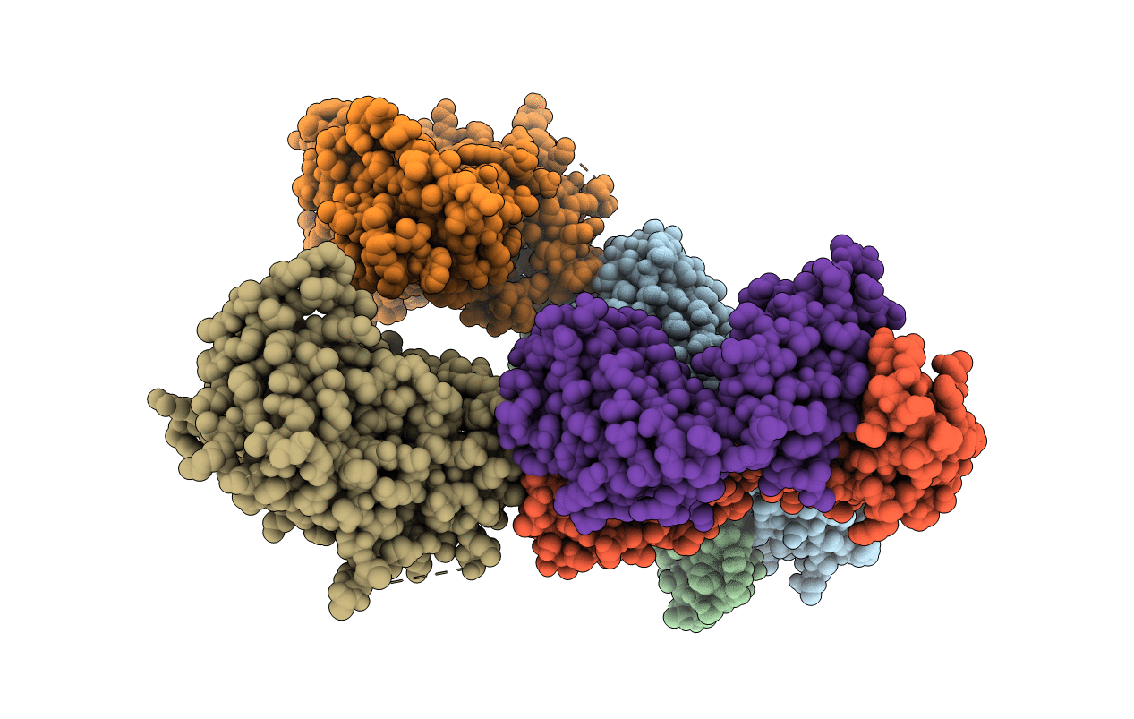 5F6J image