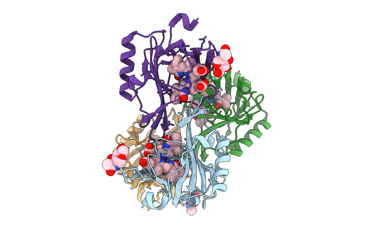 5F6Z image