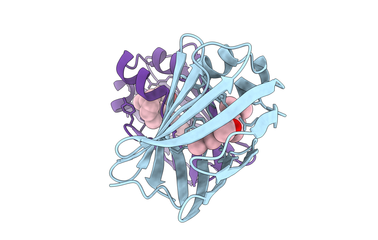 5F7G image