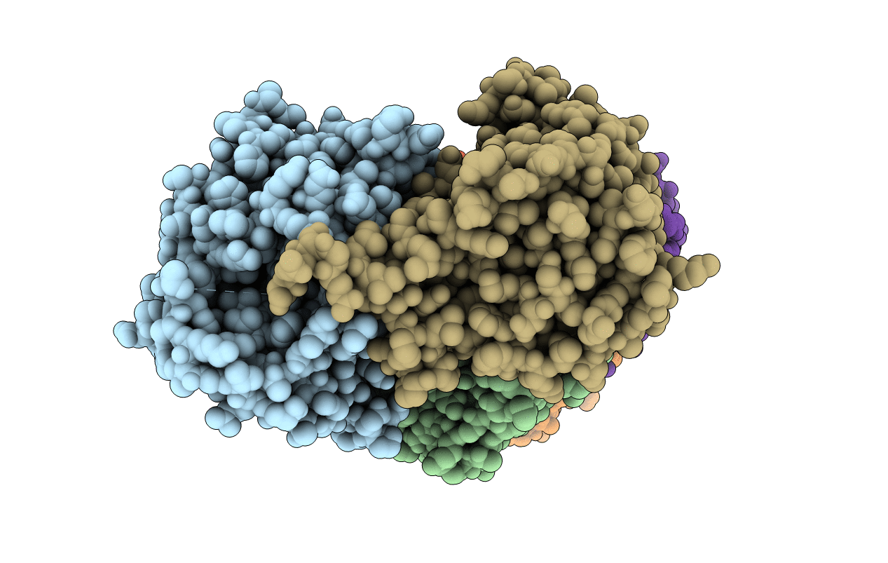 5F7J image