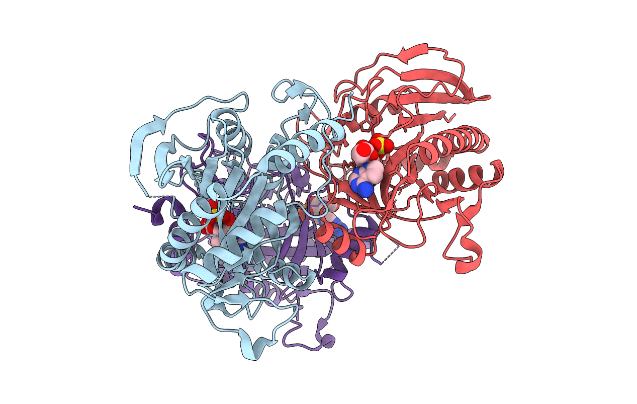 5F7X image