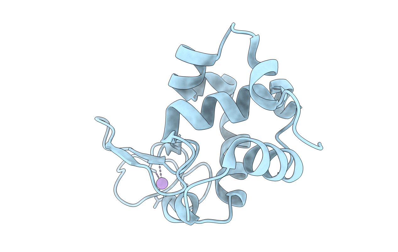5F81 image