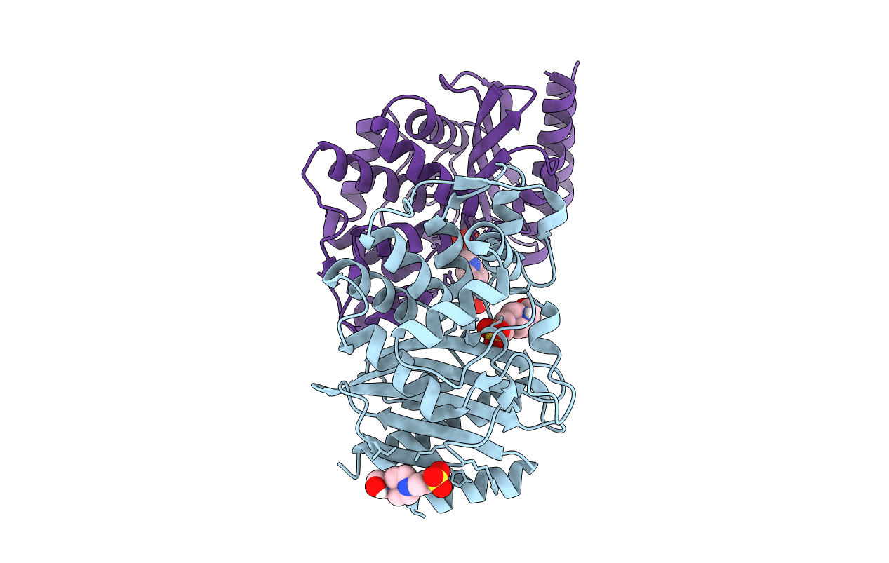 5F82 image