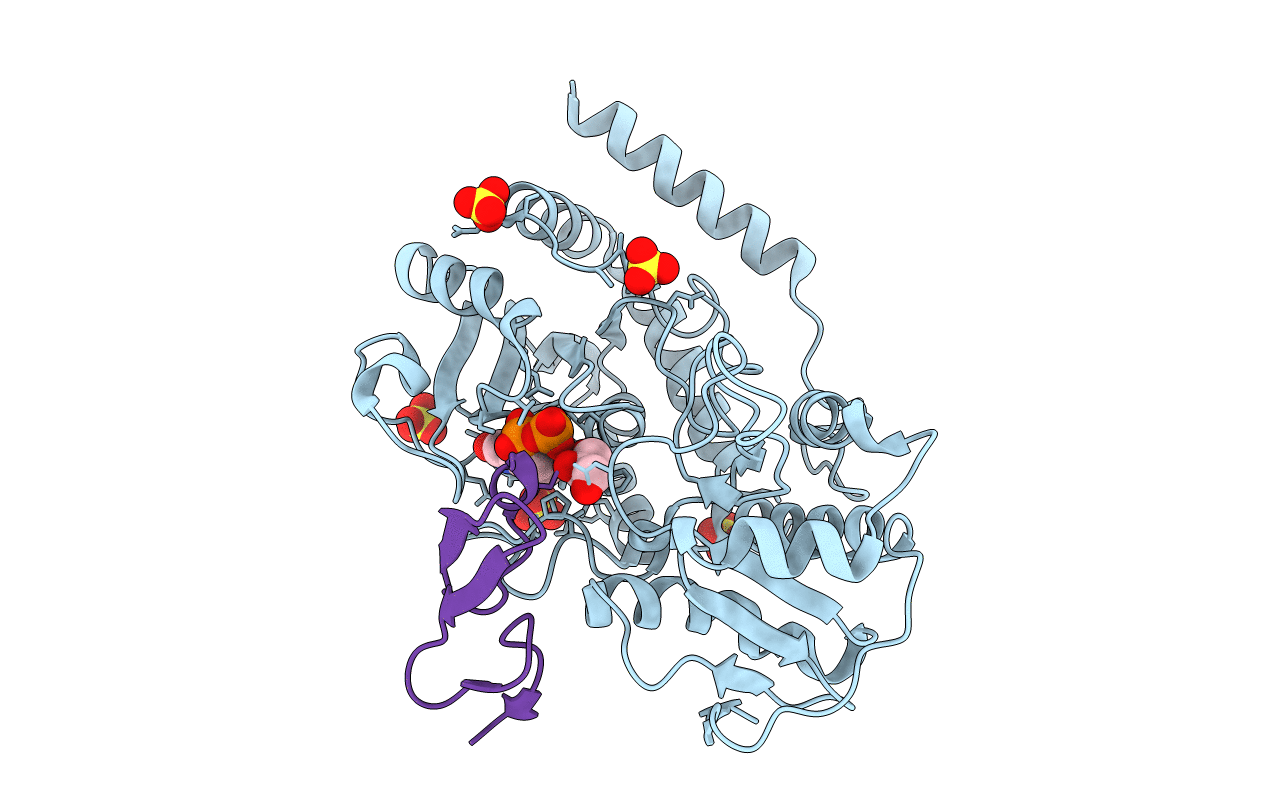 5F85 image