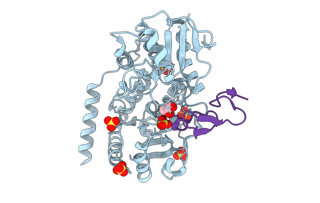 5F86 image