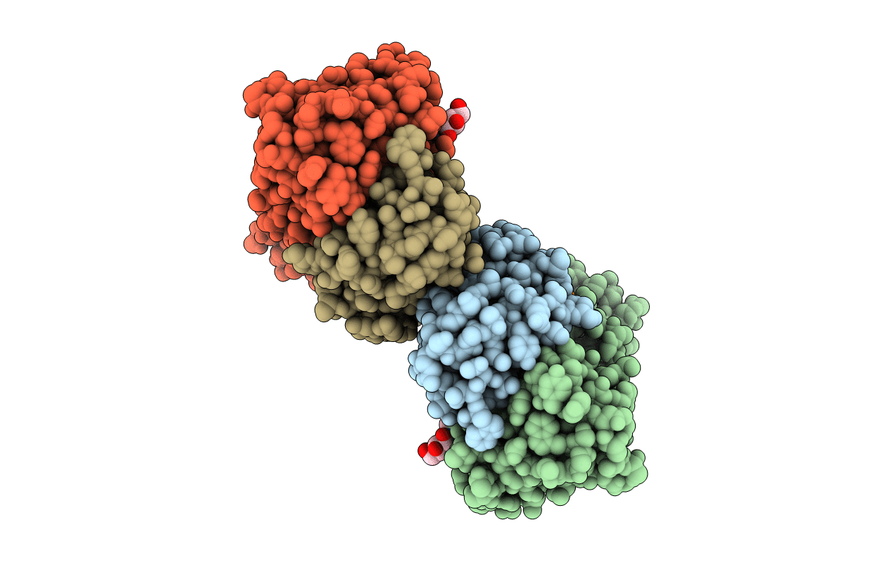 5F88 image