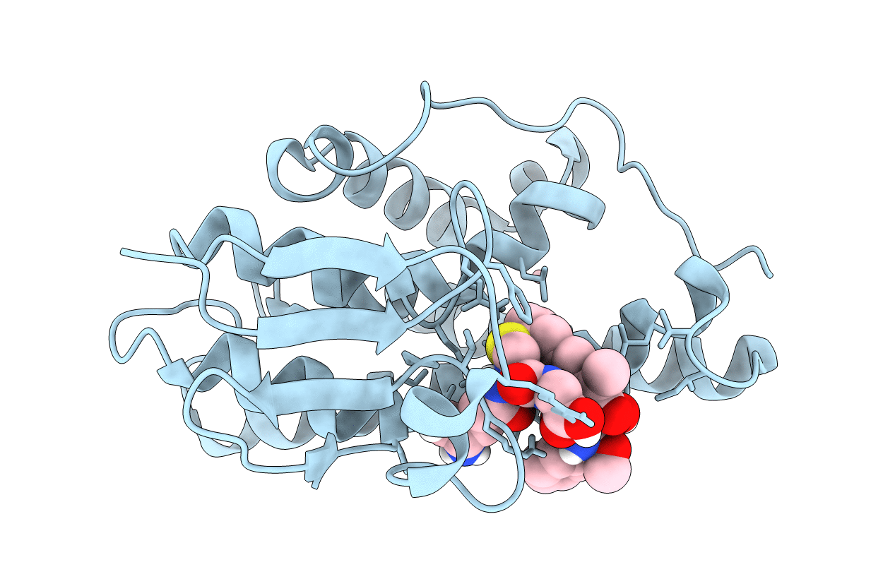 5F8B image