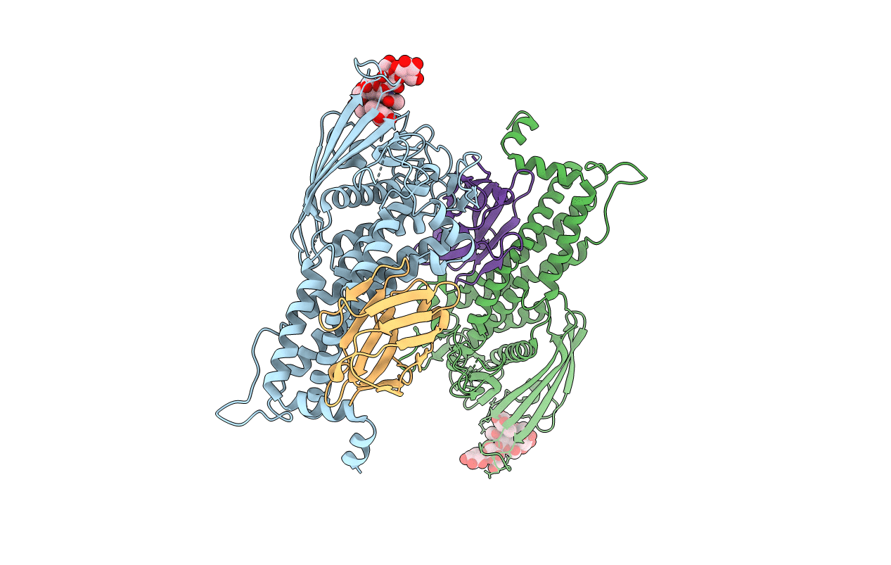 5F8R image