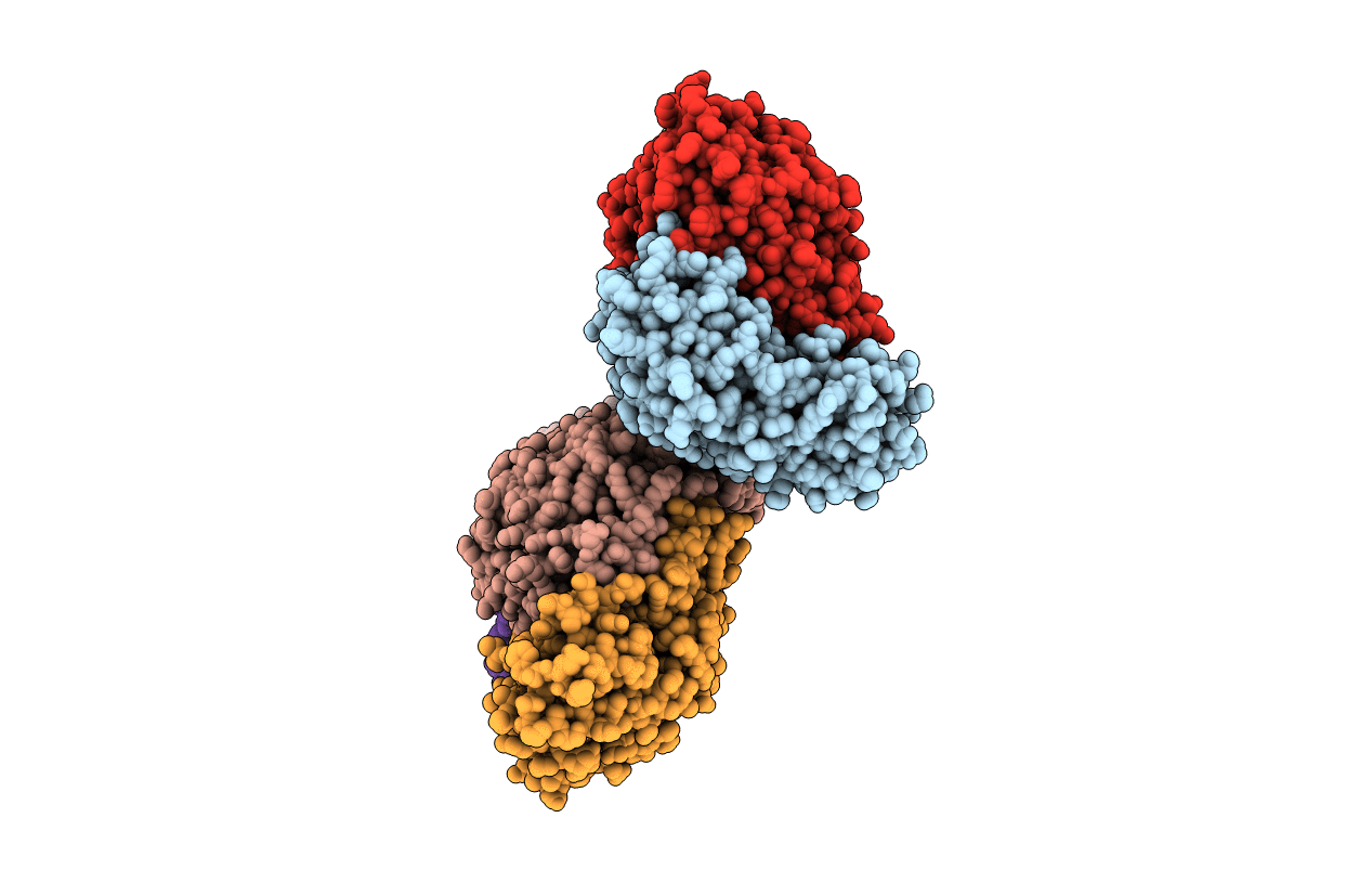 5F8V image