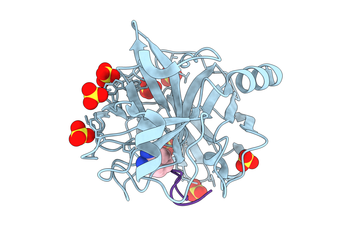 5F8X image