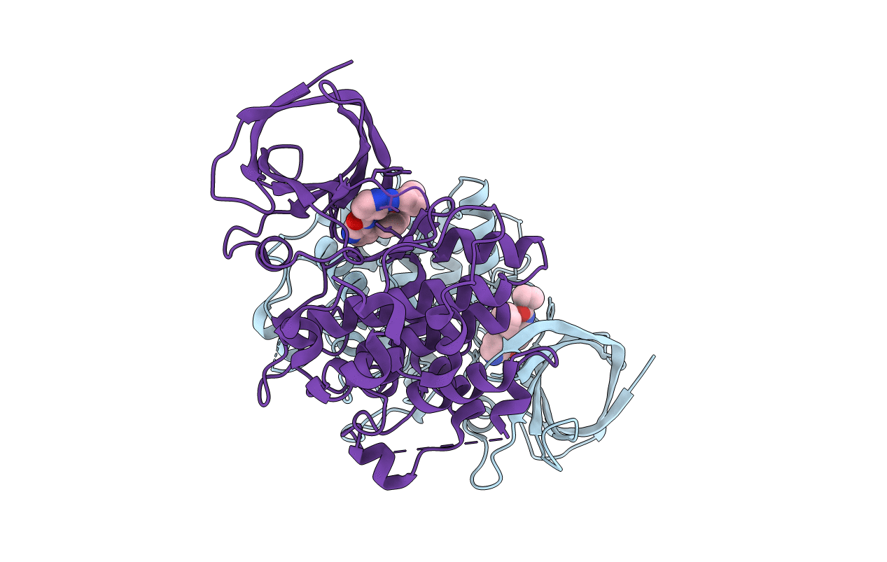 5F95 image