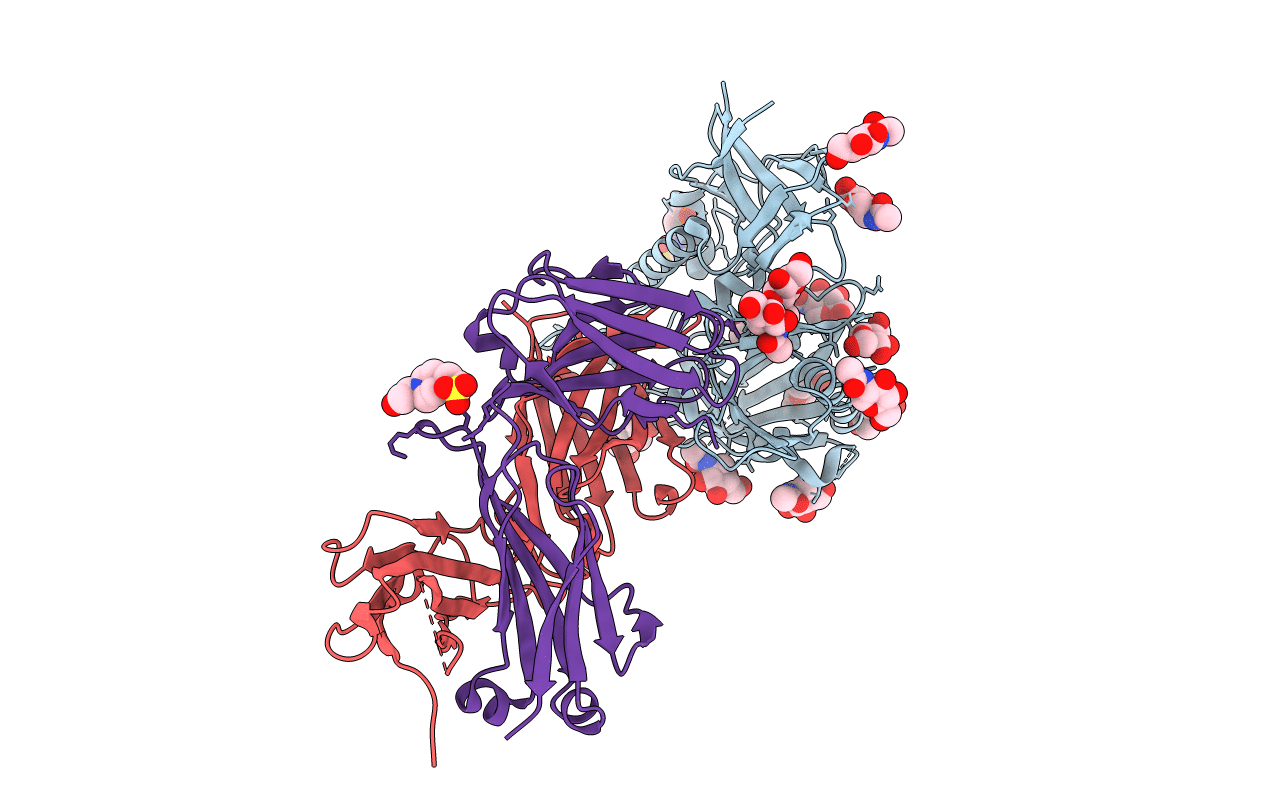 5F96 image