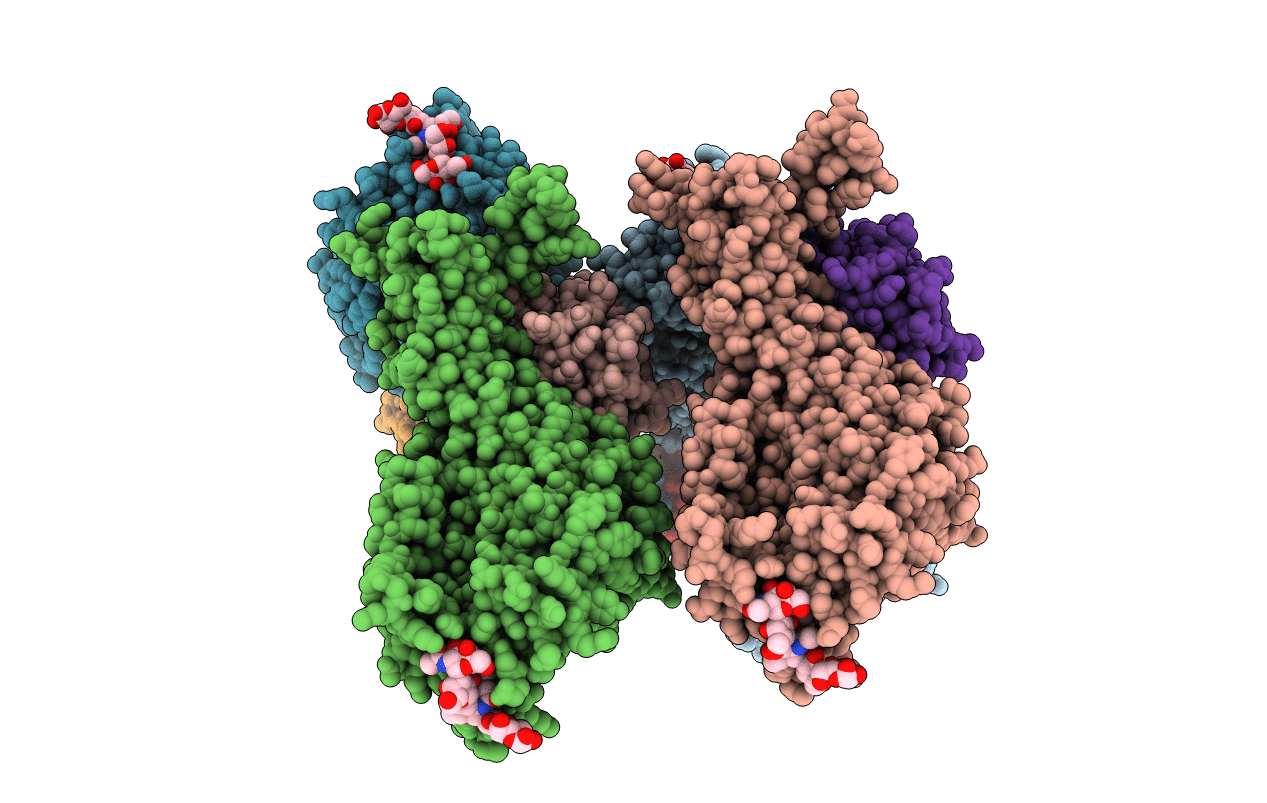 5F97 image