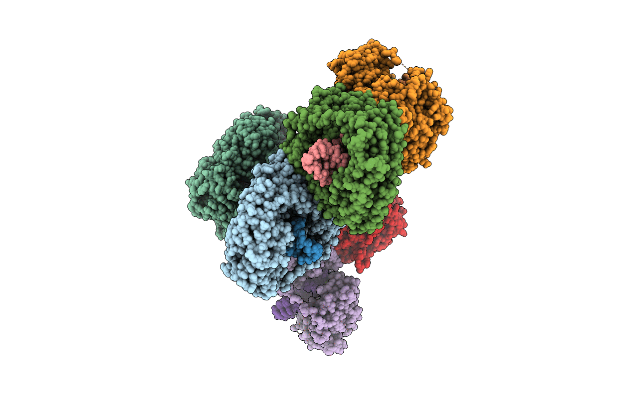 5F98 image