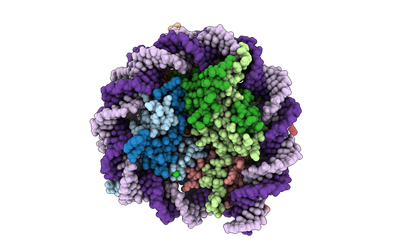5F99 image