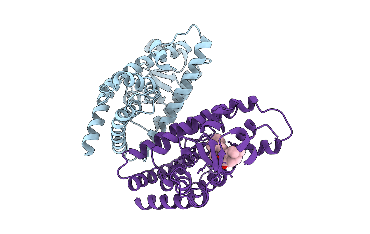 5F9B image