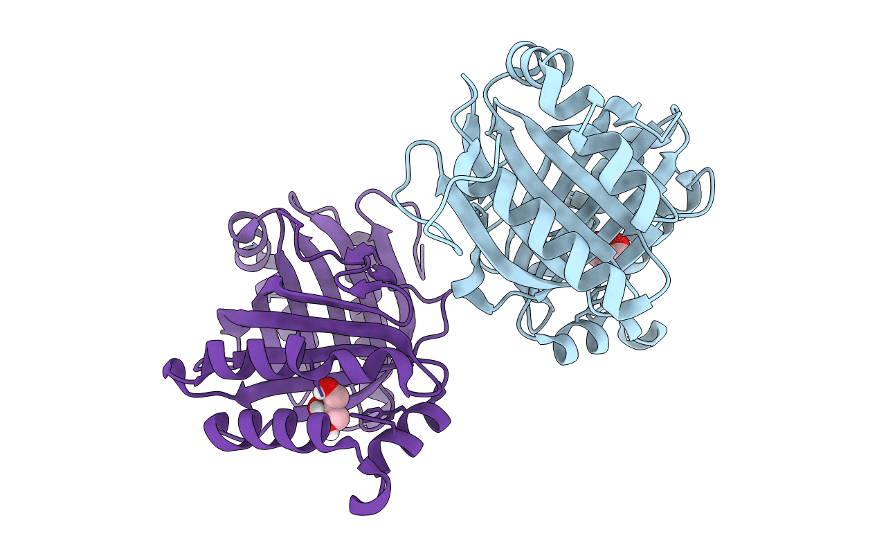 5F9P image