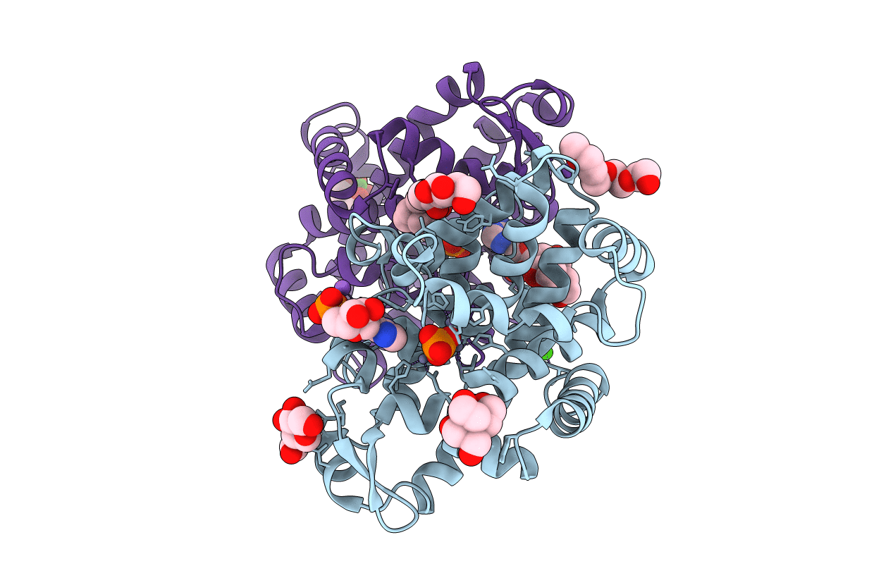 5FBB image