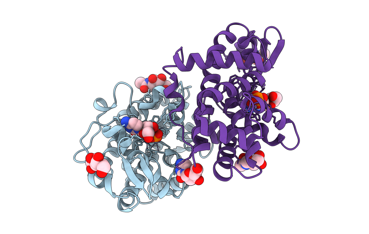 5FBG image