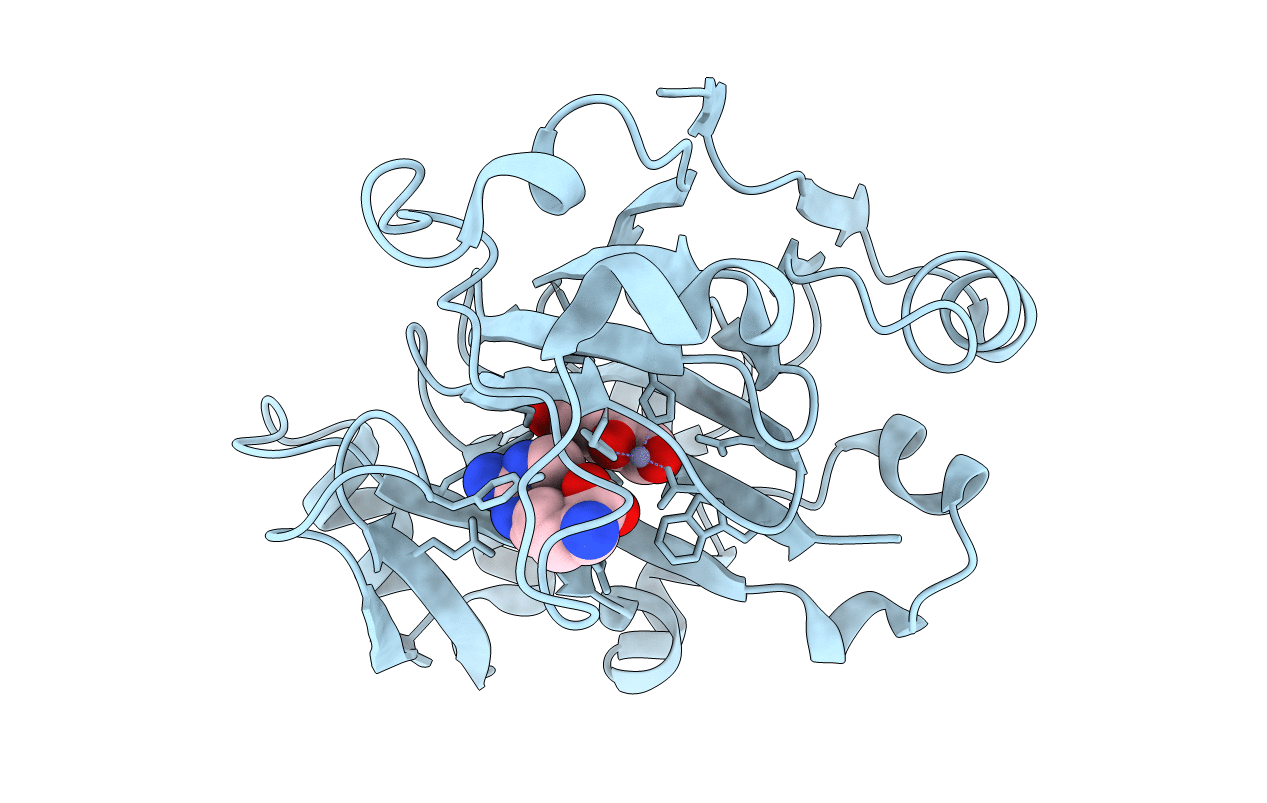 5FBJ image