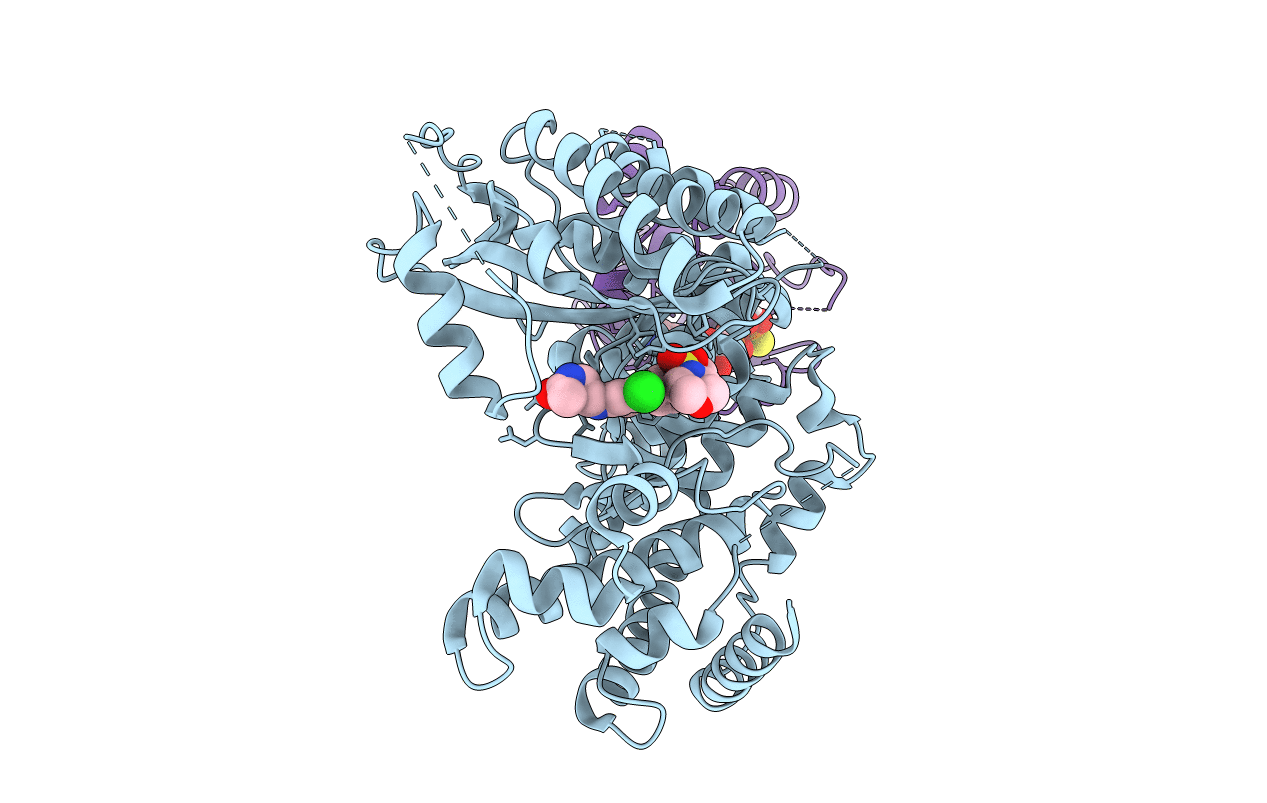 5FBL image