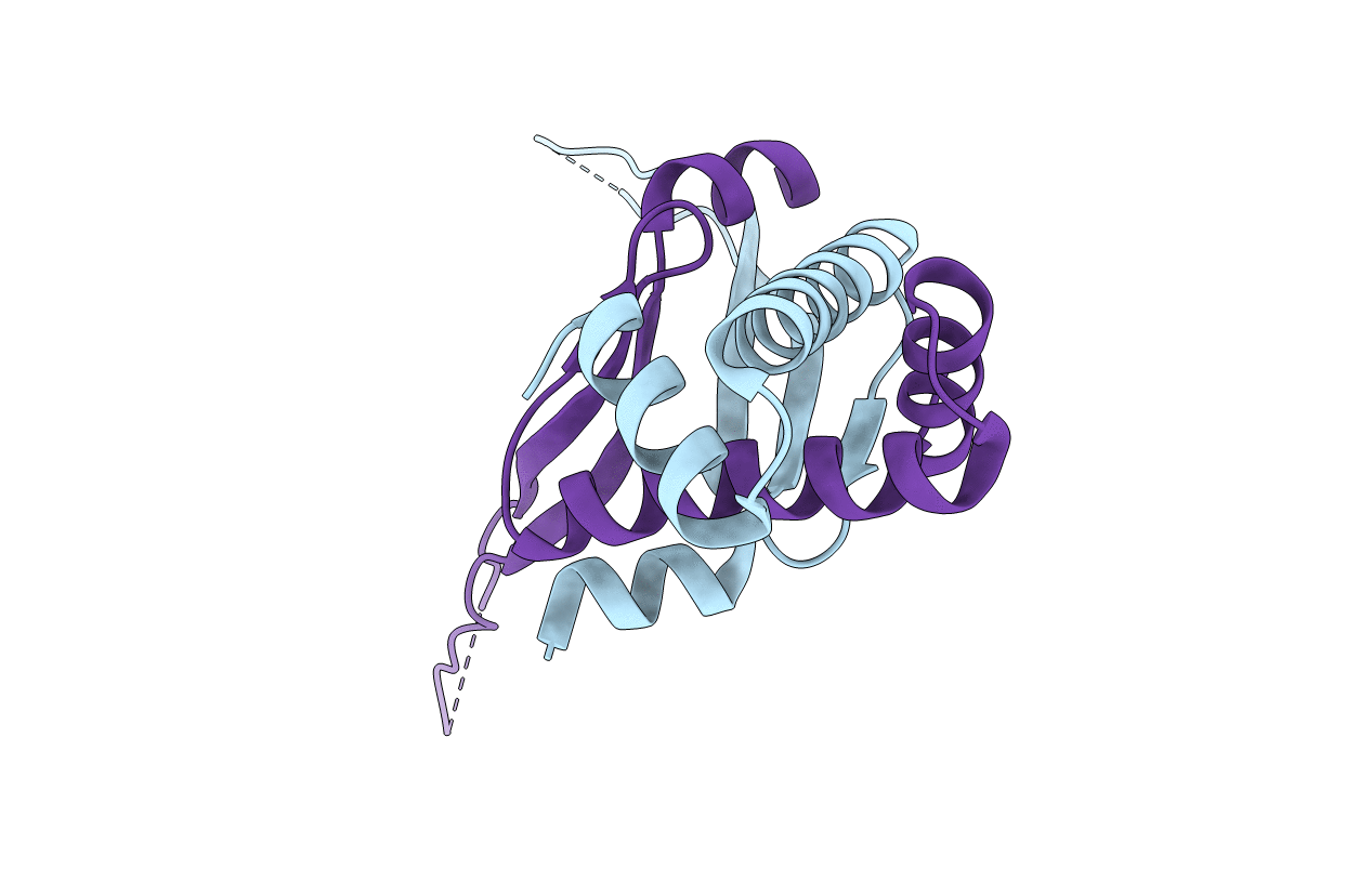 5FBM image