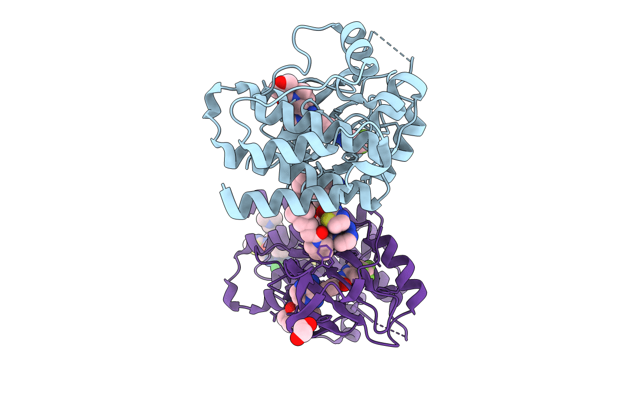 5FBN image