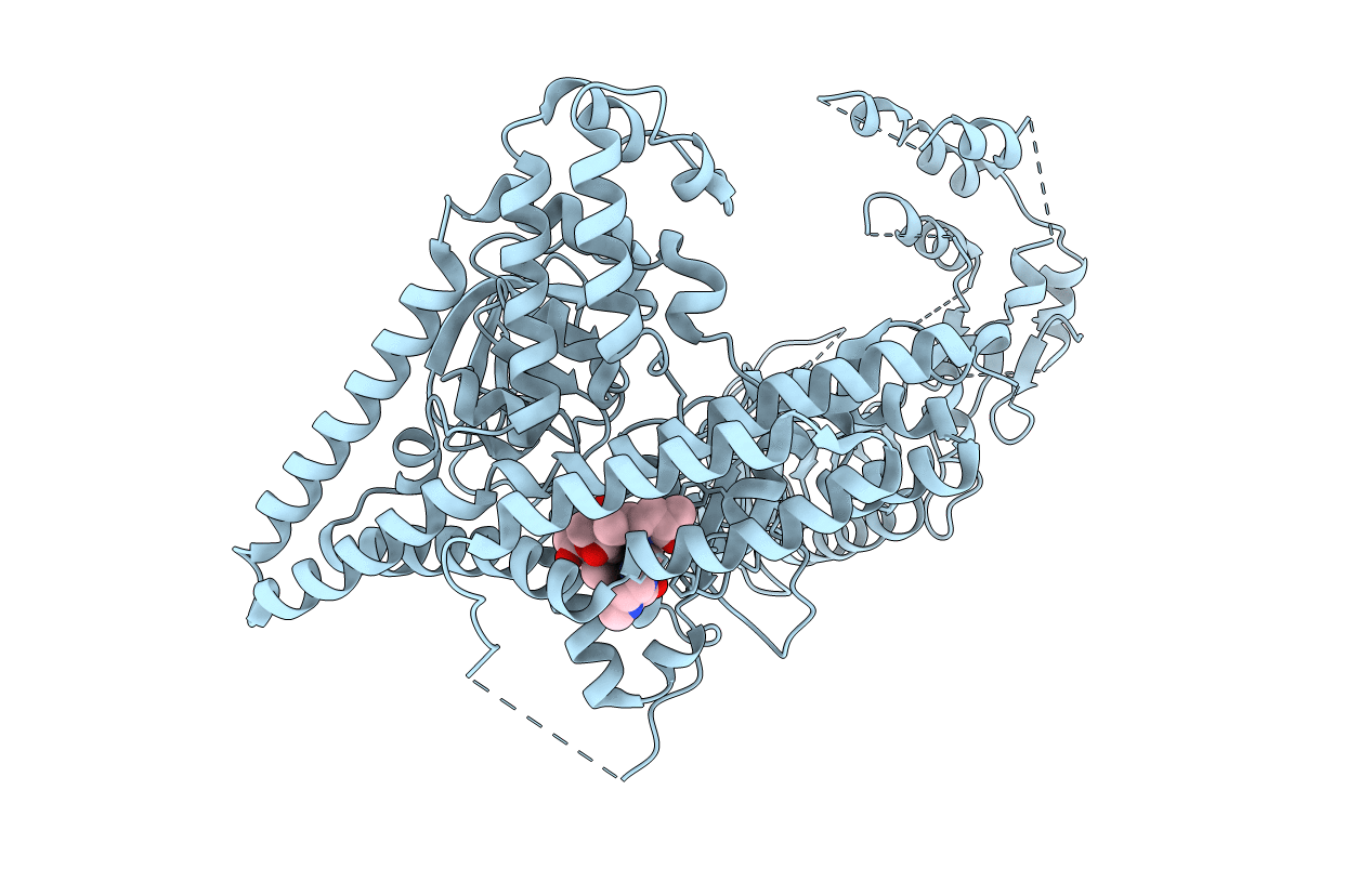 5FBT image