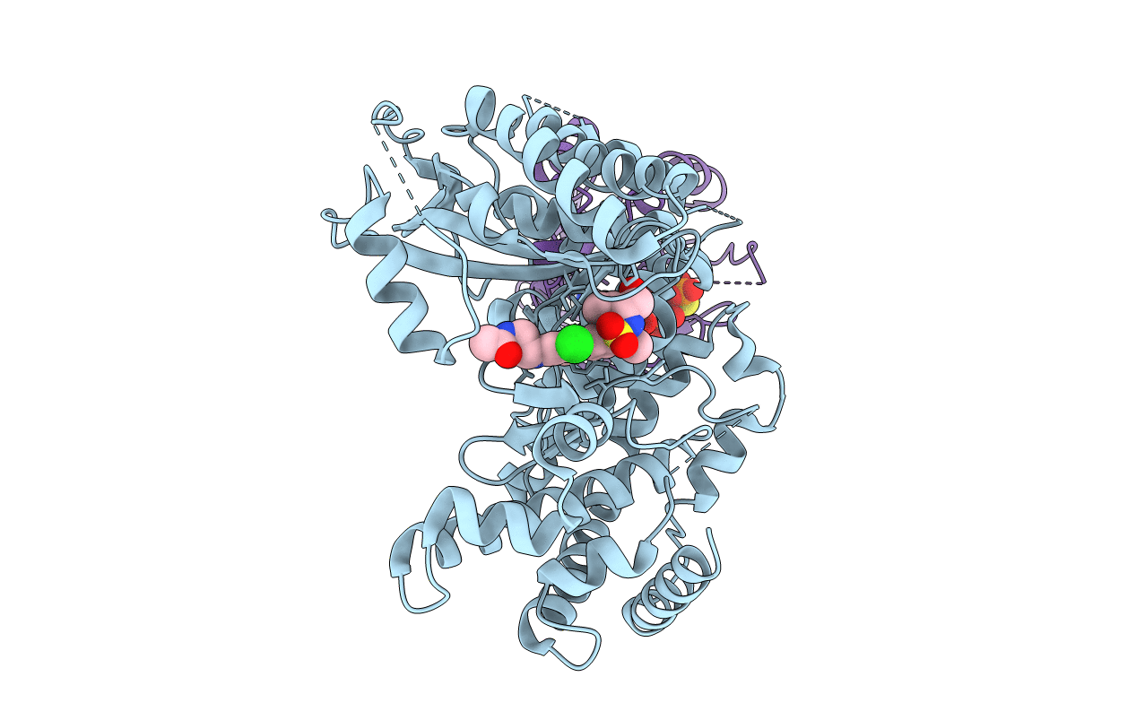 5FBW image