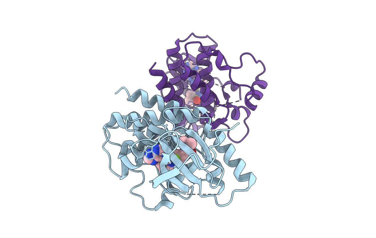 5FD2 image