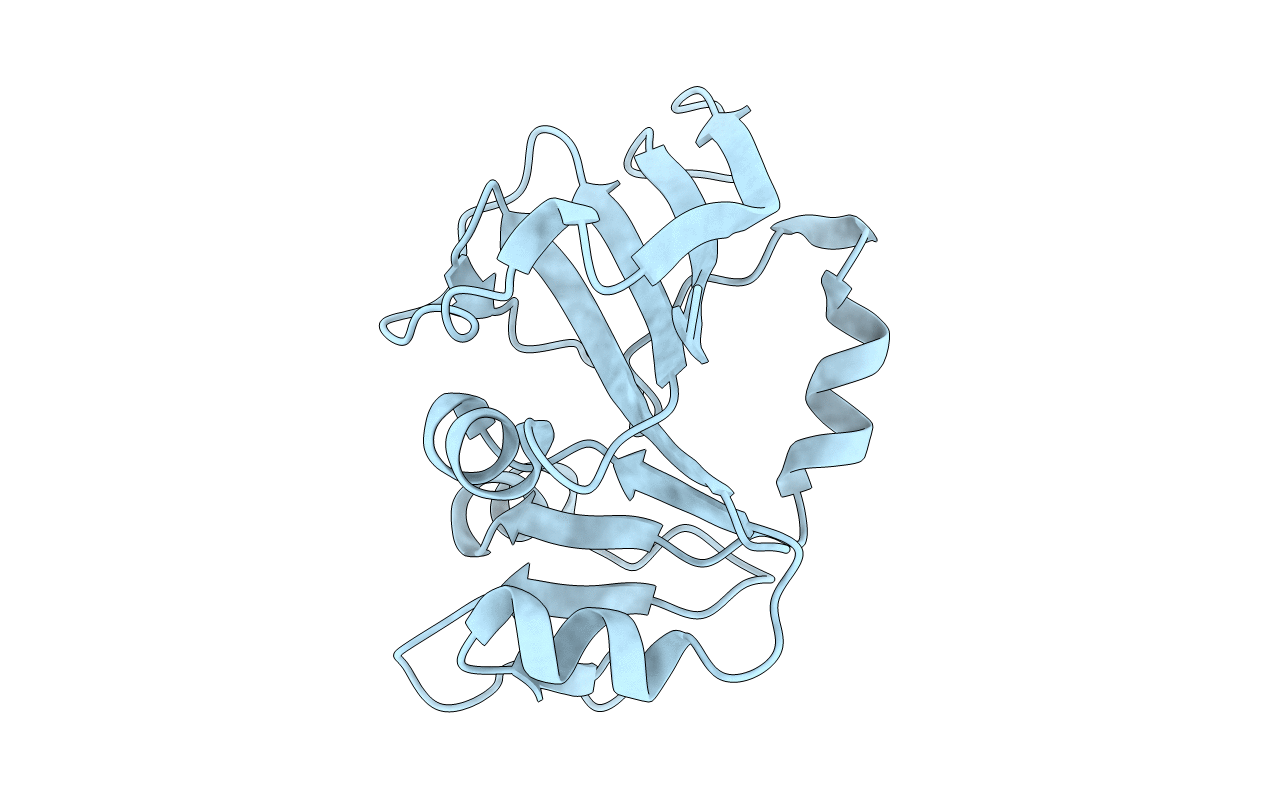 5FDA image