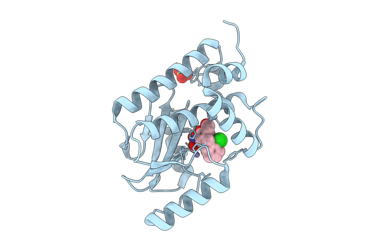 5FDD image